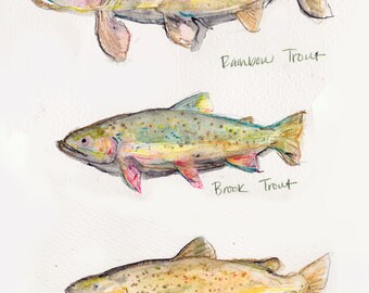 trout print, print for outdoor summer, summer trout artwork, artwork of fish, fishing art, art of fishing, fishing painting fishing artwork
