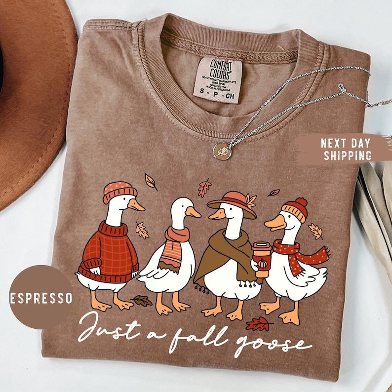 May include: Espresso-colored t-shirt featuring a whimsical illustration of four geese dressed in fall attire. The geese are wearing sweaters, scarves, and hats, with one holding a coffee cup. The text "Just a fall goose" is written below the geese.