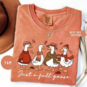 May include: Coral-colored t-shirt featuring a whimsical illustration of four geese dressed in fall attire. The geese are wearing sweaters, scarves, and hats, with the text "Just a fall goose" below. A gold necklace is draped across the shirt.