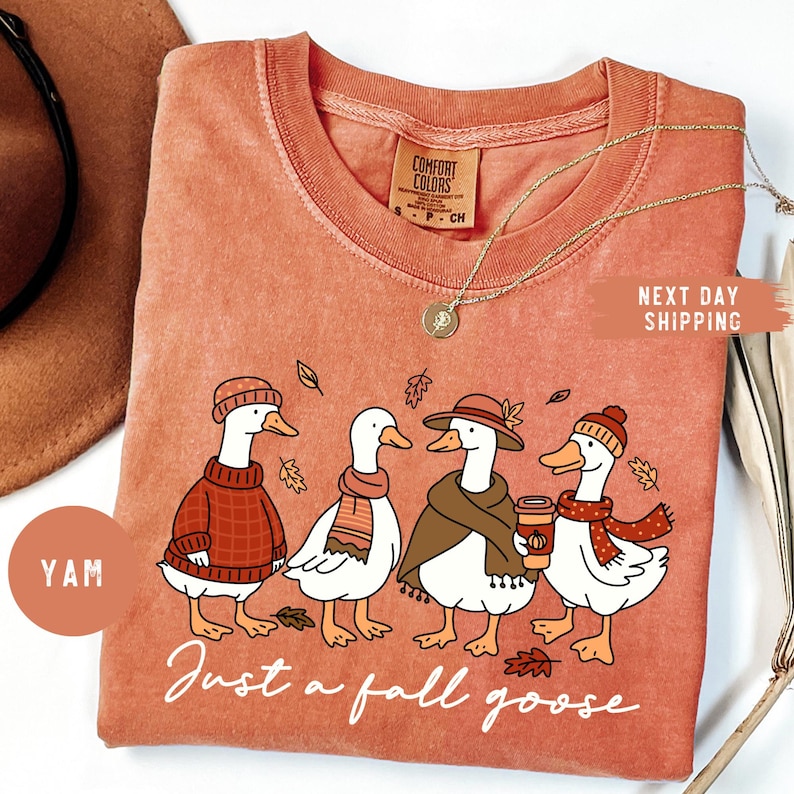 May include: Coral-colored t-shirt featuring a whimsical illustration of four geese dressed in fall attire. The geese are wearing sweaters, scarves, and hats, with the text "Just a fall goose" below. A gold necklace is draped across the shirt.