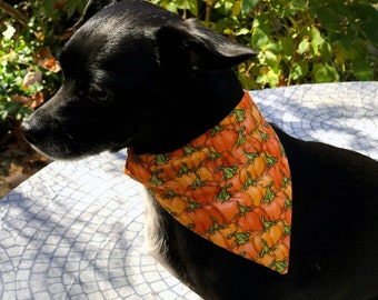 Pumpkin, Fall, Autumn, Reversible Over the Collar Dog Bandana