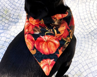 Autumn, Fall, Harvest, Acorn Over the Collar Dog Bandana, Reversible