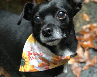 Autumn, Sunflower, Fall, Harvest, Over the Collar Dog Bandana, Reversible