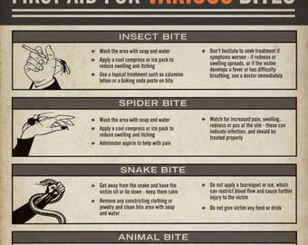 Widow's Bay First Aid for Various Bites Poster, Prop Replica TV Show Fan Gift Wall Art