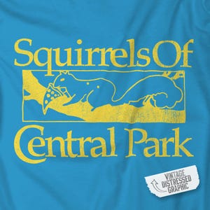May include: A turquoise t-shirt with a distressed yellow graphic. The graphic reads "Squirrels Of Central Park" with a squirrel holding a pizza slice. A small tag reads "Vintage Distressed Graphic."