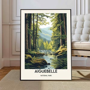 May include: A framed poster with a scenic illustration of a river flowing through a lush green forest. The text "AIGUEBELLE NATIONAL PARK" is at the bottom of the poster.