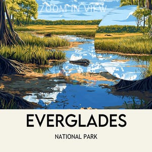 Op de afbeelding: Een kleurrijke illustratie van Everglades National Park in Florida. De afbeelding toont een weelderig groen moeras met een blauwe rivier die er doorheen slingert. De tekst "Everglades National Park" staat in het zwart onderaan de afbeelding.