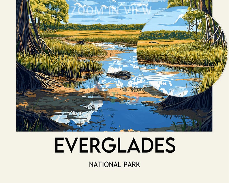 Op de afbeelding: Een kleurrijke illustratie van Everglades National Park in Florida. De afbeelding toont een weelderig groen moeras met een blauwe rivier die er doorheen slingert. De tekst "Everglades National Park" staat in het zwart onderaan de afbeelding.