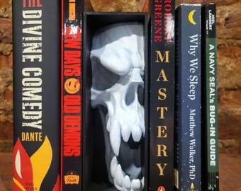 Rincón de lectura con calavera pintada a mano - Inserto para estantería de terror gótico