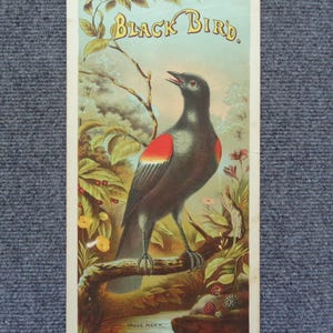 Original Vintage 1800's "BlackBird" Plug Tobacco Caddy Lithograph Label 13" Tall