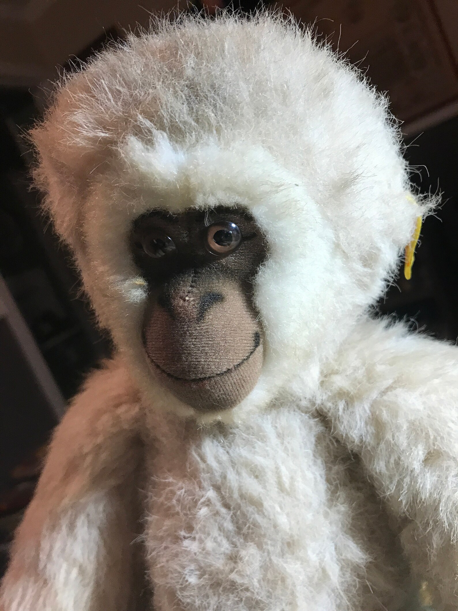 Vintage Steiff Gibbon Monkey 0040/45 Plush Monkey Stuffed | Etsy