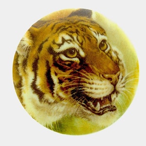 May include: Close-up of a tiger's face with a yellow and orange striped pattern. The tiger has a fierce expression with its mouth open and teeth showing.