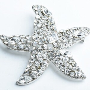 Puede incluir: Un broche de estrella de mar de plata incrustado con diamantes de imitación transparentes.