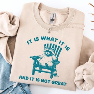 It Is What It Is And It Is Not Great Sweatshirt, Mental Health Sweatshirt, Funny Hoodie Women, Meme Sweatshirt, Raccoon Shirt, Gag Tee