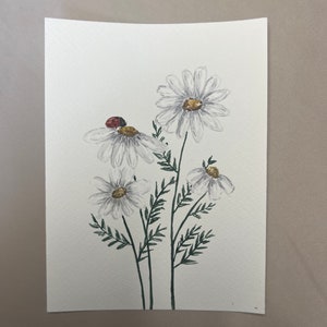 Carta coccinella su margherita acquerello dipinto originale per compleanno, regalo, decorazione