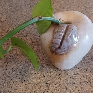 Apple Shaped Vintage Flat Earth Pottery Bud Vase 1983 Pottery Signed Fruit Ikebana Vase Fruit Decor Kitchen Dining
