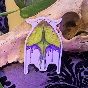 Aquarell Luna Motte (Sticker)