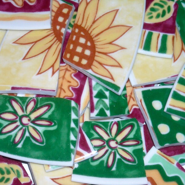 Funky  Handcut Mosaic Tiles from Plates  SEP104