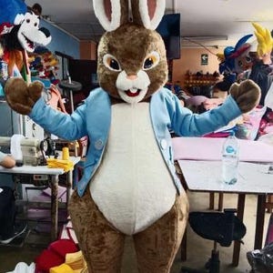 Disfraces de mascota animal de conejo de Pascua, mascotas fiesta evento Halloween eventos fiestas botarga espectáculos
