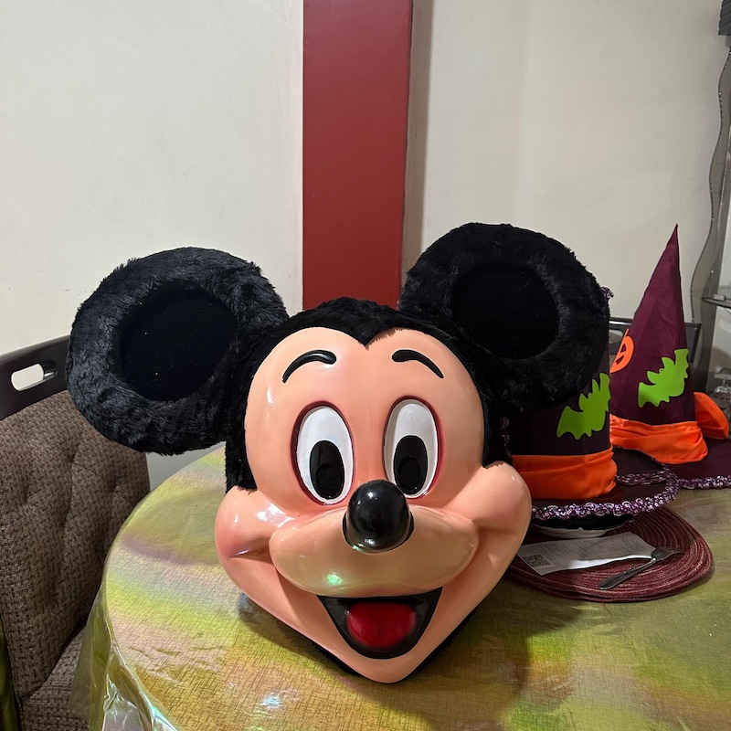 Mickey Mouse Mascot Costume - Etsy