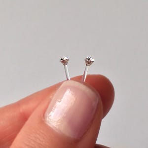 Peut inclure: Deux clous de nez transparents avec de petits strass transparents au sommet.
