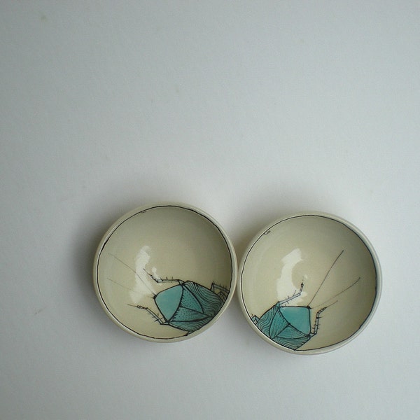 a pair of  cockroach bowls
