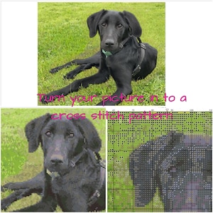 Custom cross stitch pattern from your picture