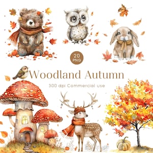 Acuarela bosque otoño, lindos animales del bosque clipart, baby shower, guardería del bosque, otoño, uso comercial, PNG transparentes.