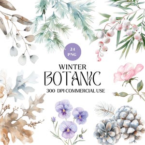 Clipart de inverno em aquarela, botânicos de inverno, vegetação para cartões de Natal, clipart de Natal, clipart floral de inverno, uso comercial