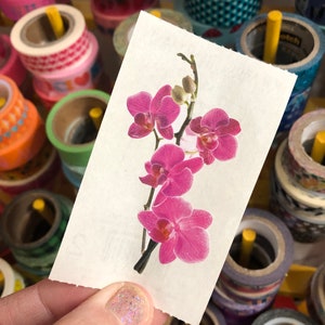 Mrs. Grossman&#39;s Purple Orchid Flower Sticker
