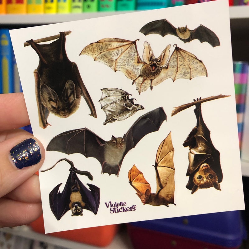 Bat Stickers - Etsy