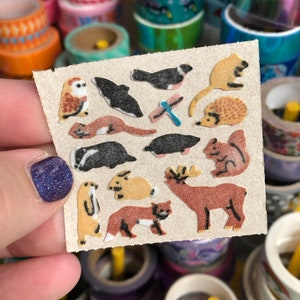 Vintage Fuzzy Nature Wildlife Forest Animal Stickers