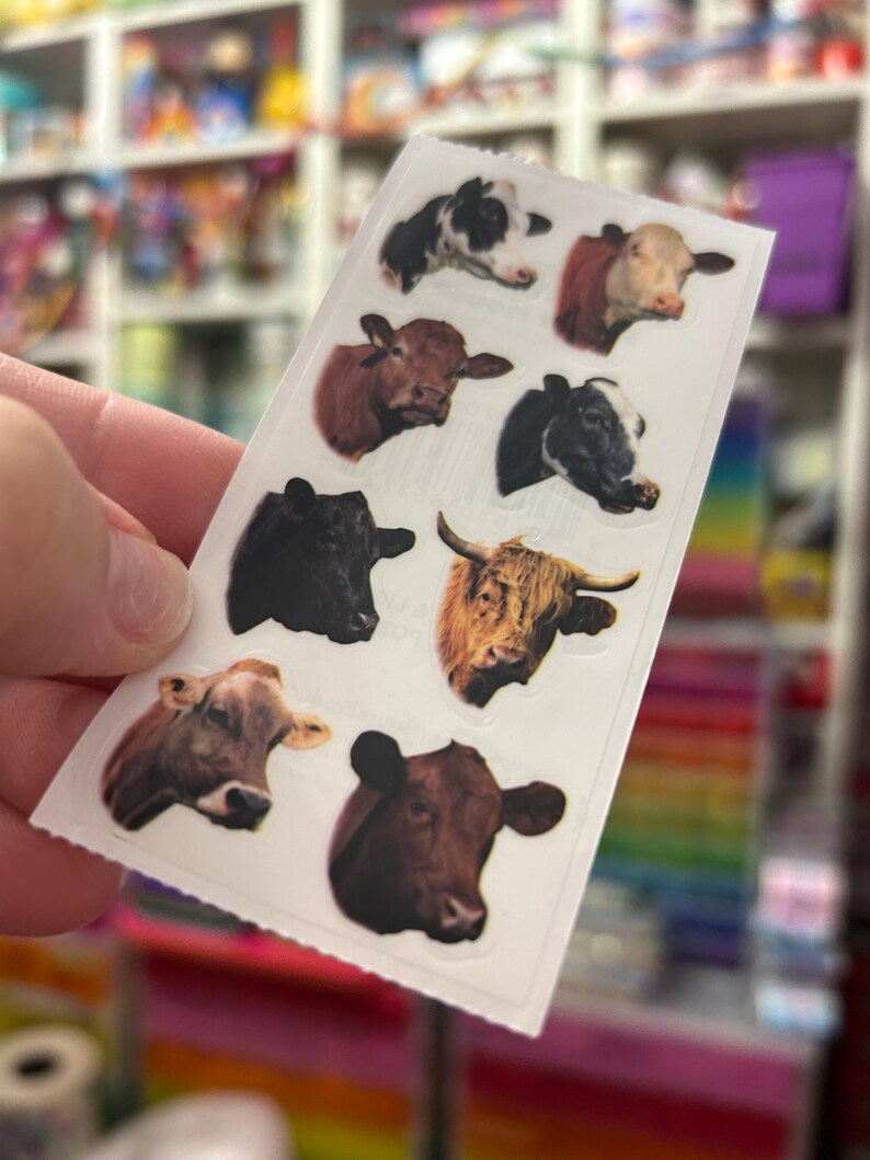 Realistic Cow Heifer Head Farm Animal Moo Stickers - Etsy