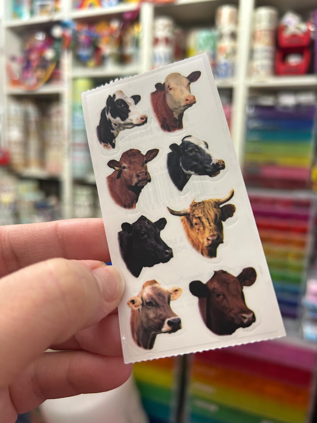 Realistic Cow Heifer Head Farm Animal Moo Stickers - Etsy