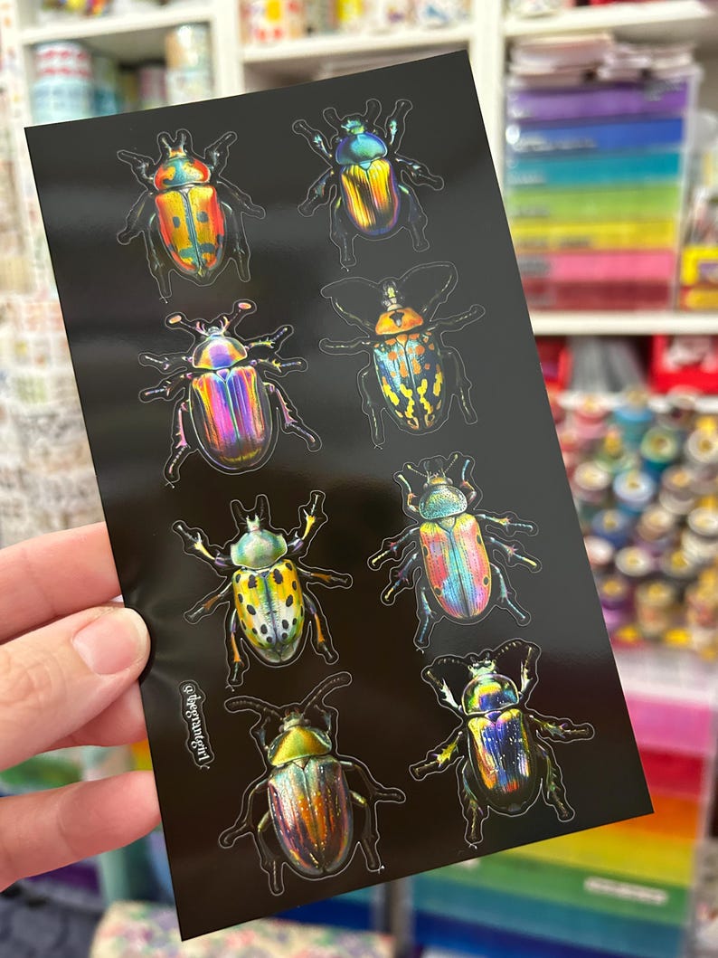 Insect Rainbow Sticker Giant Rainbow Beetle Bug Stickers Sheet - Etsy