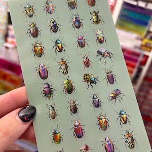 May include: A sheet of stickers featuring colorful, detailed illustrations of various beetles. The beetles are depicted in a range of colors, including gold, green, purple, and red, with intricate patterns. The stickers are on a light green background.