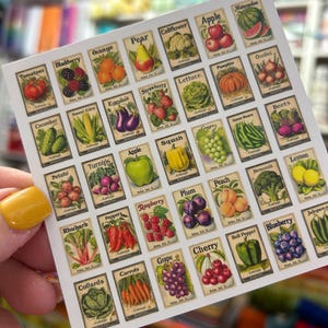 May include: A sheet of vintage-style seed packet stickers featuring various fruits and vegetables. Each packet is labeled with the name of the produce, such as tomatoes, apples, and carrots. The stickers have a cream-colored background with detailed illustrations.