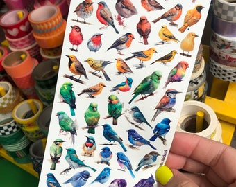 Full Sheet of Rainbow Bird Stickers