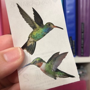 Vintage Hummingbird Stickers Mrs Grossmans Discontinued