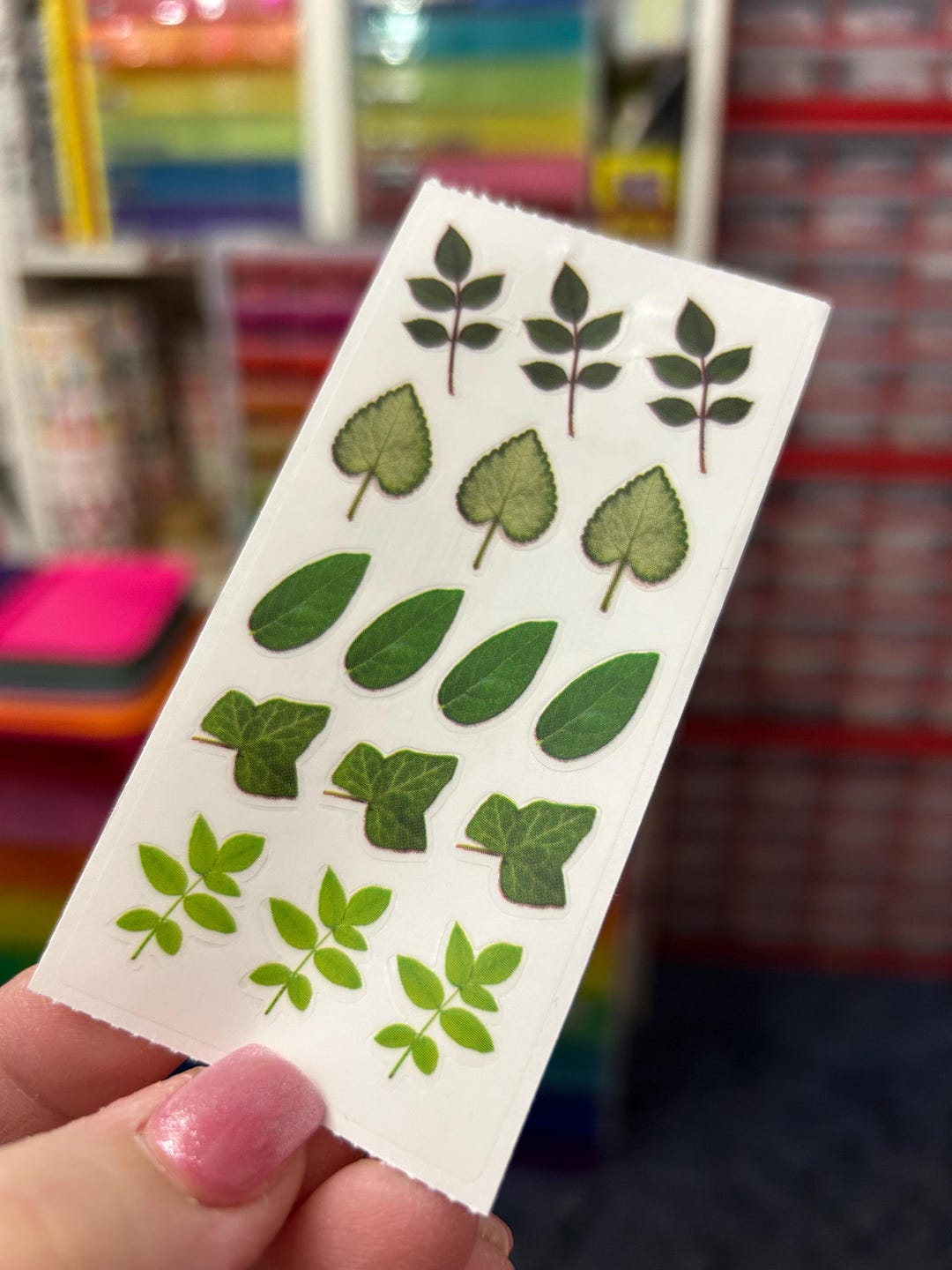 Green Leaf Plant Ivy Stickers - Etsy