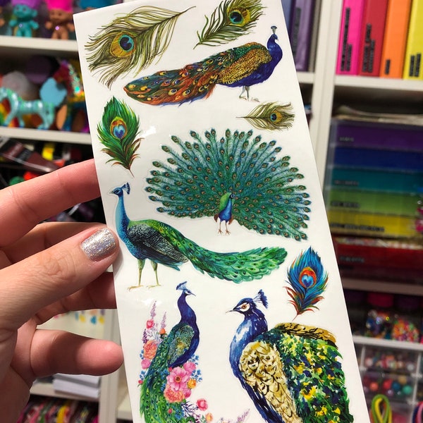 Fancy Peacock Feather Peafowl Stickers Sheet