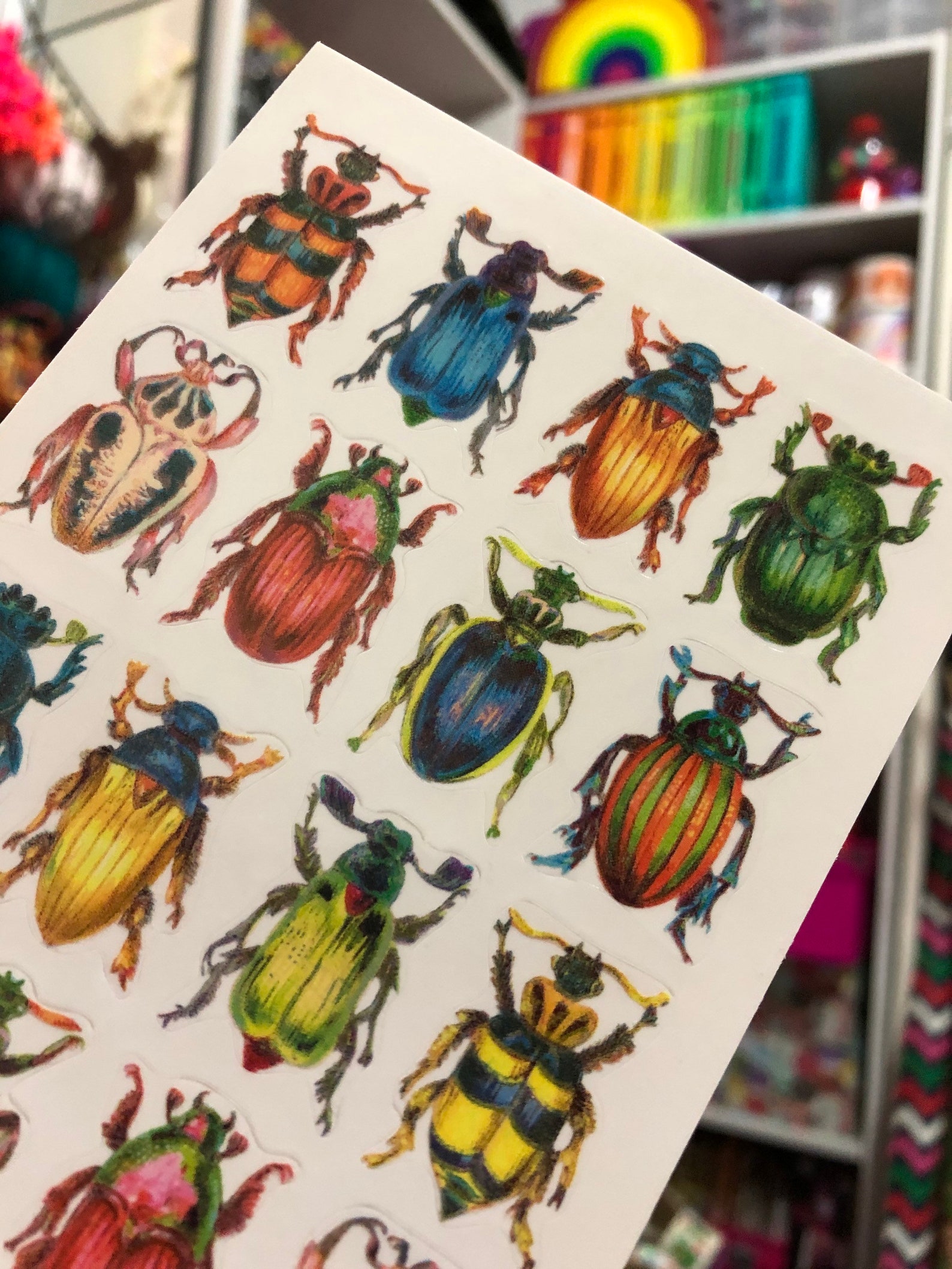 Rainbow Beetle Bug Stickers Sheet - Etsy
