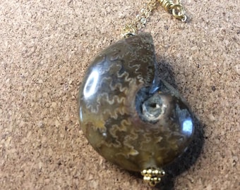 Fossil necklace on gold vermeil chain