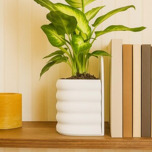 May include: A potted Dieffenbachia plant with large, green and yellow leaves sits in a white, wavy-edged planter. The plant is on a wooden shelf with a yellow candle and a row of books with neutral-toned spines.