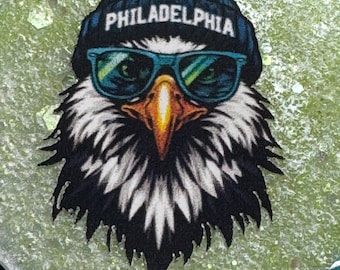 Bobina di distintivo della vittoria del Super Bowl LIX ispirato ai Philadelphia Eagles – Resina epossidica – Clip per cintura/alligatore