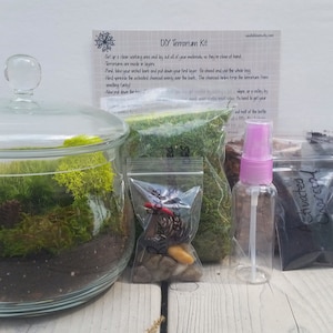 THE Kit DIY Terrarium Kit All you need is the Container image 3