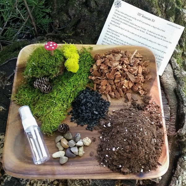 EL Kit - Kit de terrario DIY - Todo lo que necesitas es el contenedor