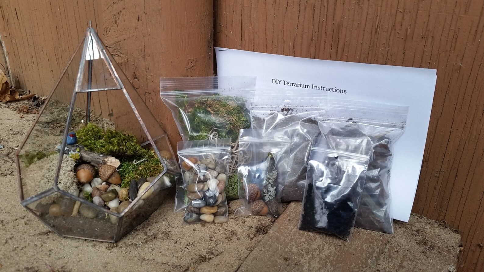 THE Kit DIY Terrarium Kit All You Need is the Container Etsy
