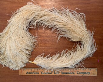 Antique Lush Thick Ivory Boa 1910 1900 Victorian Edwardian Ivory Cream Ostrich Feather Plume for Millinery Hat Decoration
