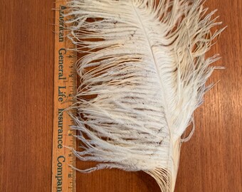 Antique 1910 1900 Victorian Edwardian Ivory Cream Fluttery Ostrich Feather Plume for Millinery Hat Decoration